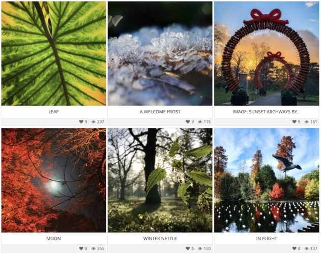 RBG Kew photo competition entries